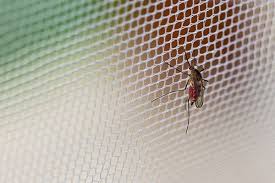 Mosquito, Insect & Bugs Netting